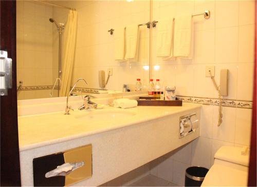 大兴北京锦江富园大酒店的一间带水槽、镜子和卫生间的浴室