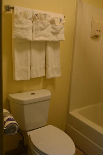 兰伯顿兰巴顿南方旅馆的浴室配有白色卫生间和毛巾。