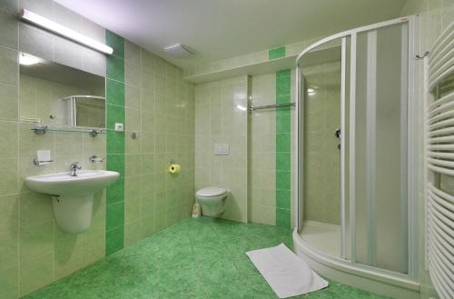 Pod Slamníkem的一间浴室