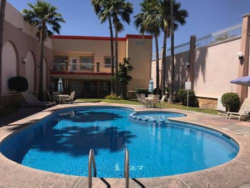 埃莫西约圣地亚哥广场酒店的棕榈树酒店庭院内的游泳池