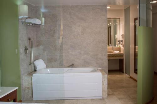 Hotel Malinalli的一间浴室
