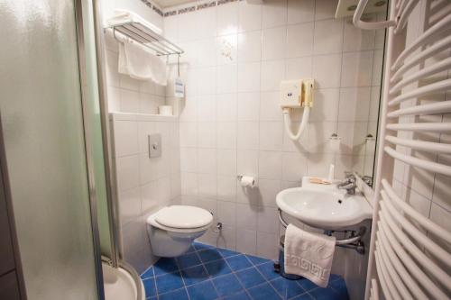 克拉尼斯卡戈拉Hotel Špik的一间带卫生间和水槽的小浴室