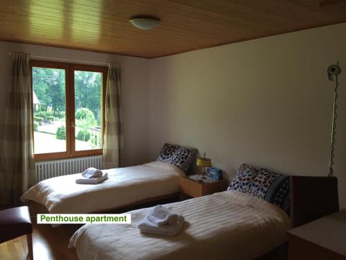 Villard-sur-Boëge绿色小屋旅馆的相册照片