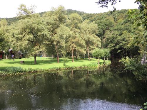 迪尔巴克迪尔巴赫普拉格帕尔克度假屋酒店的一个带池塘、树木和山丘的公园