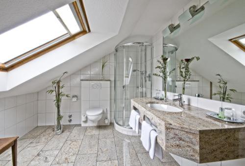 巴特德里堡罗森伯格酒店的一间带水槽和卫生间的大浴室