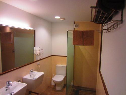 EzkurraMatxitxulo Family Rooms的一间带水槽、卫生间和镜子的浴室