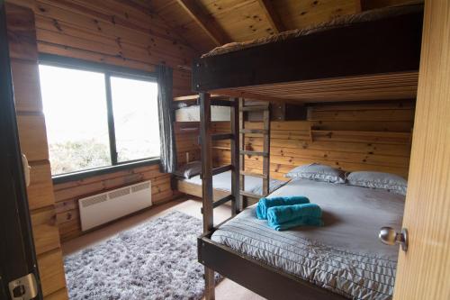 Castle HillPorters Lodge的小木屋内一间卧室配有双层床
