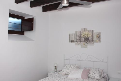科尔多瓦El Capricho de San Fernando, Consigna gratis y Parking a 200mts的一间卧室配有一张床和吊扇