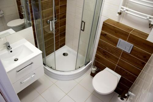 普斯科沃Dom Gościnny Matex的带淋浴、卫生间和盥洗盆的浴室