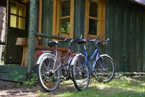 在Saia Forest House内部或周边骑自行车