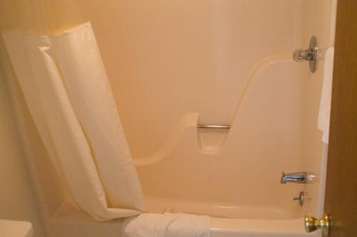 Tazewell塔兹韦尔汽车旅馆的带淋浴、浴缸和卫生间的浴室