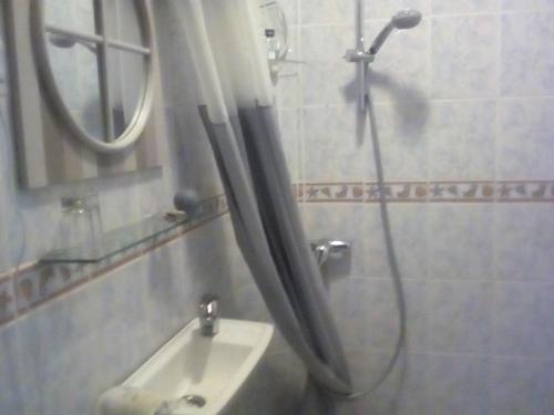 肖蒙La corniche的带淋浴、水槽和镜子的浴室