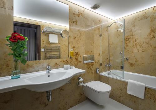 布拉格克雷门庭酒店的一间带水槽、卫生间和镜子的浴室