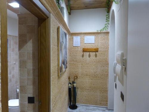 萨拉曼卡LAS CATEDRALES De SALAMANCA的一间带步入式淋浴间和卫生间的浴室