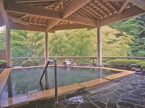 中之条糸園岛酒店的一个带屋顶的庭院内的游泳池