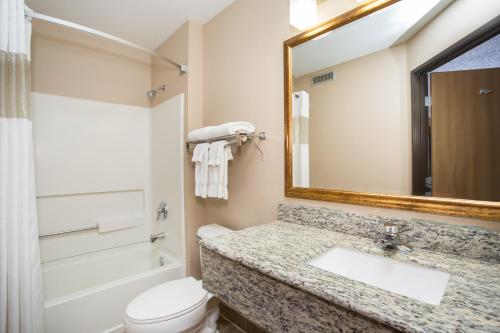 苏城苏城阿美瑞辛酒店的一间带水槽、卫生间和镜子的浴室