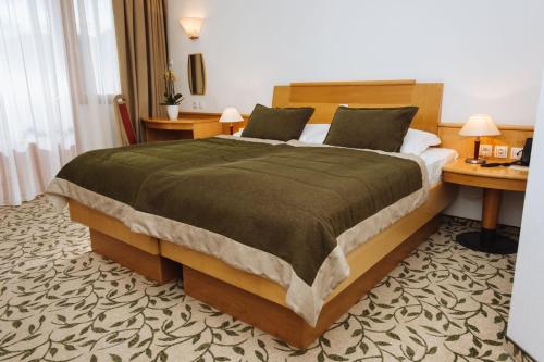 兹雷切温泉兹热西 - 活力酒店的一间卧室配有一张大床和一张书桌