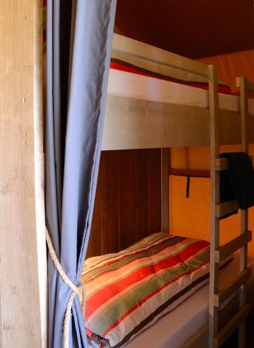 东福尔讷Safaritent的一张带蓝色窗帘的双层床,毗邻梯子