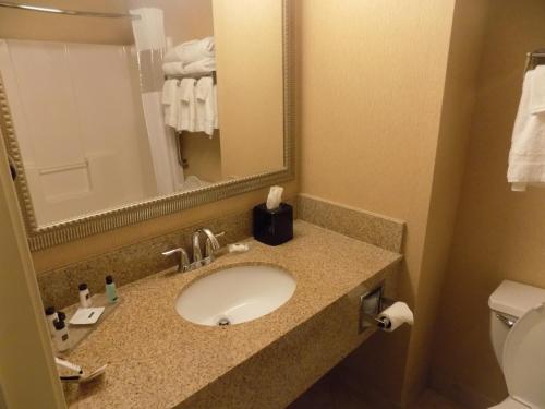 埃文斯维尔印第安纳埃文斯维尔丽怡酒店的一间带水槽、卫生间和镜子的浴室