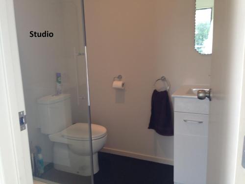 奥雷瓦Silverdale Garden Studio的一间带卫生间和水槽的小浴室