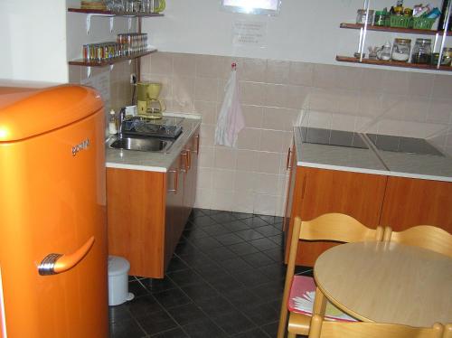 Pliskovica普里斯克维卡青年旅舍的一个带水槽和桌子的小厨房