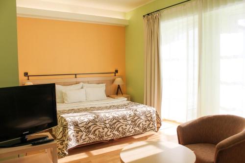 撒加迪萨伽迪庄园酒店的一间卧室配有一张床、一台电视和一把椅子