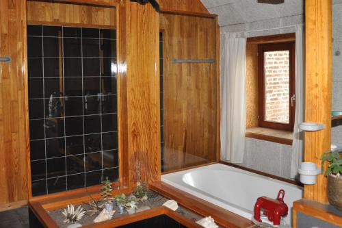 蒙斯B&B Compagnons11的带浴缸的浴室和窗户。