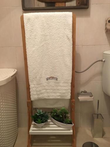 洛萨Casa Sandra - Apartamento Mariana的浴室内带盆栽的毛巾架