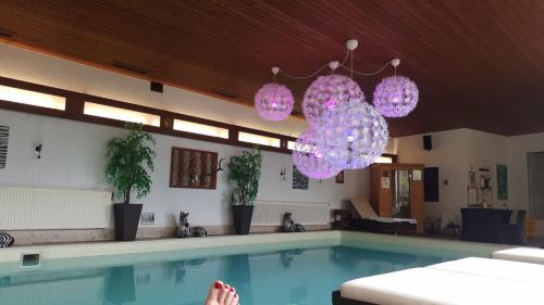 法克湖畔埃格Villa Desiree - Hotel Garni - Adults Only的一座游泳池,上面挂着紫色的灯