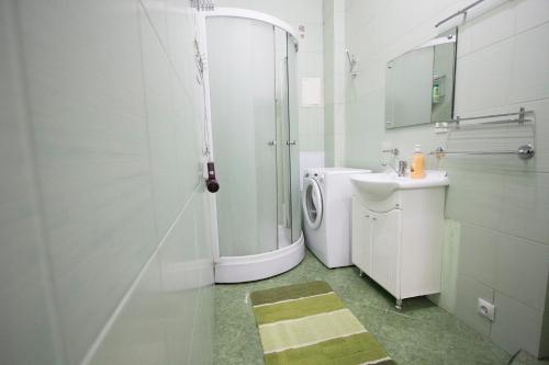 莫斯科特维尔大街豪华公寓的带淋浴和盥洗盆的白色浴室