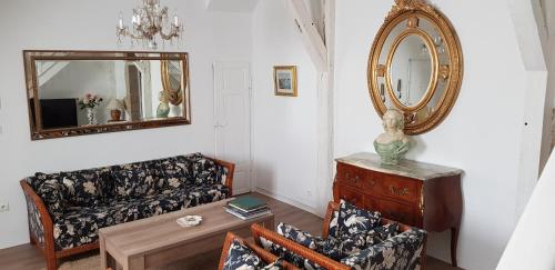 第戎Appartement Patarin Dijon的带沙发和镜子的客厅