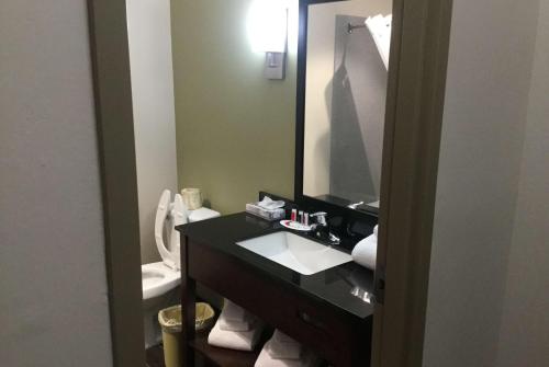 贝蒙特佩奇湖鲍威尔套房酒店 的一间浴室