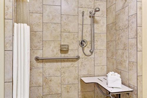 普罗沃普若佛河贝蒙特套房酒店的带淋浴和浴帘的浴室