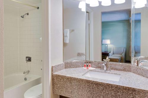 杰克逊维尔杰克逊维尔橘园拉金塔旅馆的一间带水槽、卫生间和镜子的浴室