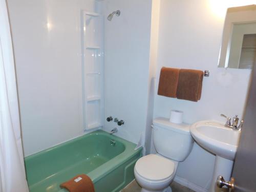 欣顿泰伯兰德汽车旅馆的浴室配有绿色浴缸、卫生间和水槽
