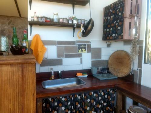 波特雷里约斯La Ramada - refugio的厨房配有水槽和台面