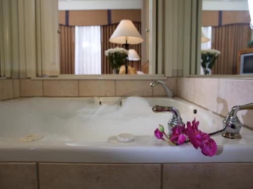 哈瓦苏湖城伦敦桥度假酒店的浴室水槽上方有紫色的鲜花