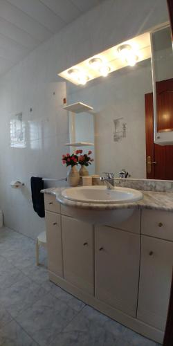 萨瓦德尔LG DownTown Sabadell Apartment的一间带水槽和大镜子的浴室