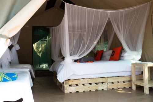 侯斯普瑞特Southern Sands Eco Lodge的一间帐篷内带两张床的卧室