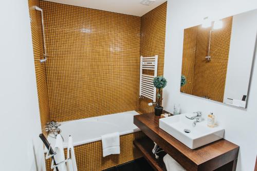 吉尔斯Magnolia Apartment的一间带水槽、浴缸和镜子的浴室