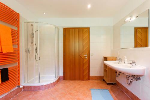 新波南特Haus Traudi的一间带水槽和淋浴的浴室