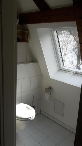 SaupsdorfFerienwohnung Richtermühle的一间带卫生间和窗户的浴室