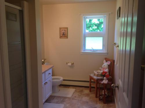 夏洛特顿赖特河小屋公寓的一间带卫生间、窗户和椅子的浴室