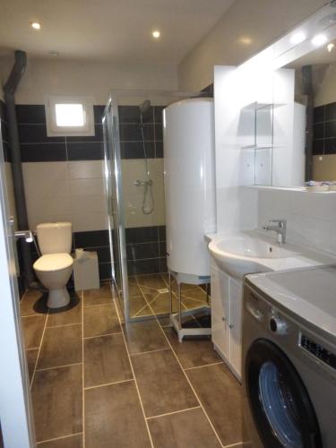 阿尔贝Appartement Chez José的浴室配有卫生间、盥洗盆和洗衣机。