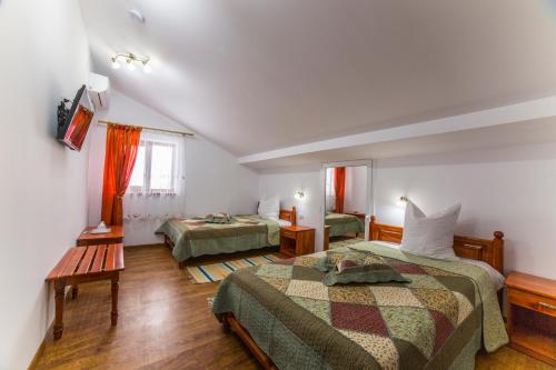 茹里洛夫卡Pensiunea Palaghia的酒店客房设有两张床和窗户。