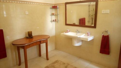 康提Tea Leaf Retreat的一间带水槽和镜子的浴室