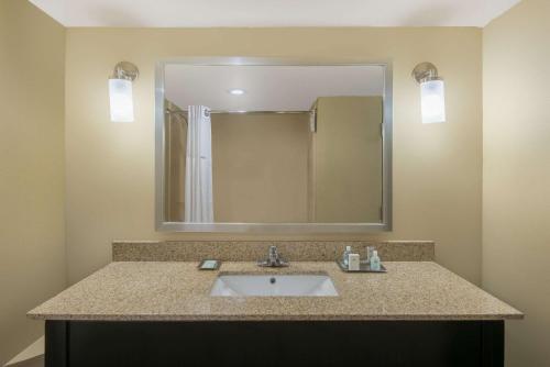 特克萨卡纳-德克萨斯Wyndham Garden Texarkana的一间带水槽和大镜子的浴室