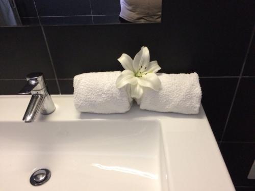 阿尔布费拉阿尔布费拉KR酒店的浴室水槽顶部的白色花朵