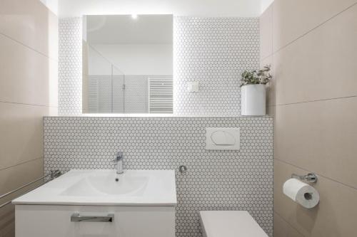 萨格勒布萨格勒布食宿公寓的一间带水槽、卫生间和镜子的浴室