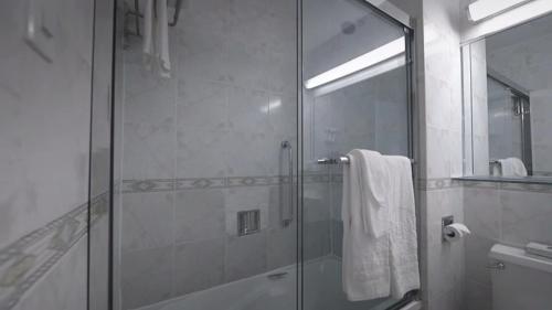 芝加哥芝加哥国会广场酒店 的带淋浴的浴室和玻璃门
